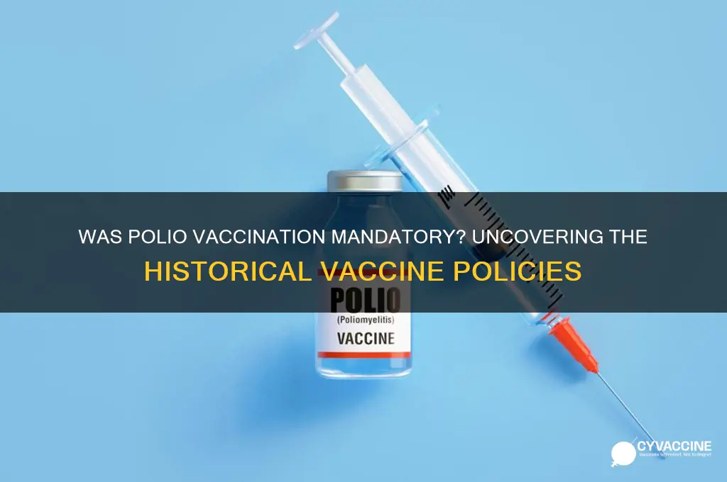 did polio have a mandatory vaccine