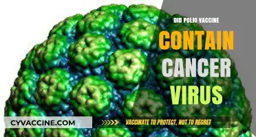 Polio Vaccine and Cancer Virus: Unraveling the Scientific Truth