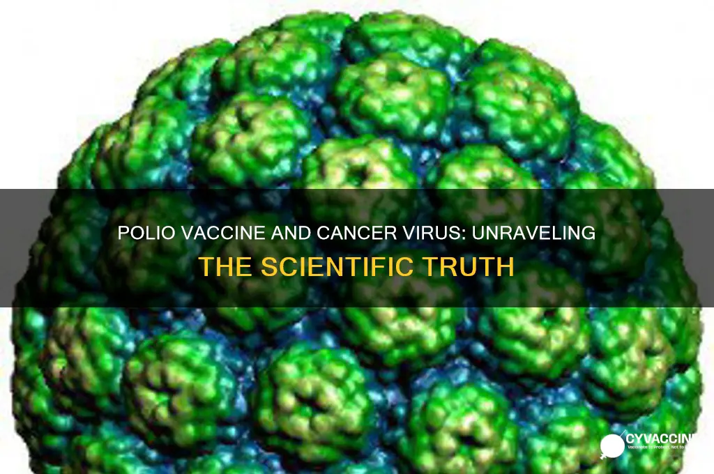 did polio vaccine contain cancer virus