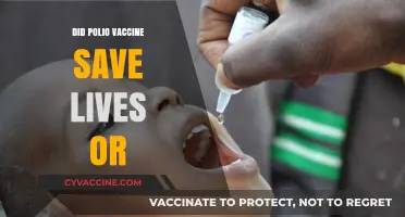 Polio Vaccine: Lifesaver or Misunderstood Medical Breakthrough?