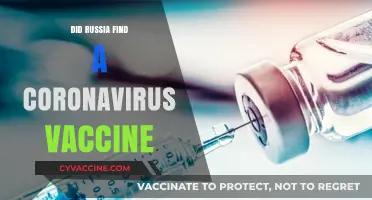 Russia's COVID-19 Vaccine: Breakthrough or Premature Announcement?
