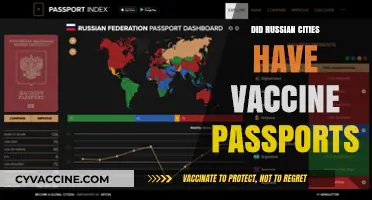 Russian Cities and Vaccine Passports: Implementation and Public Response