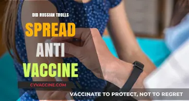 Russian Trolls and Anti-Vaccine Propaganda: Unraveling the Online Influence