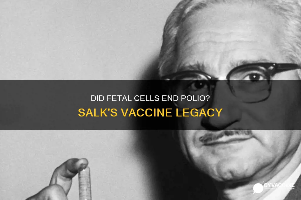 did salk put fetal cells in polio vaccine