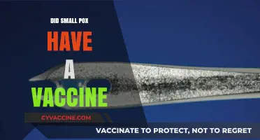 The History of Smallpox: Did a Vaccine Eradicate the Disease?