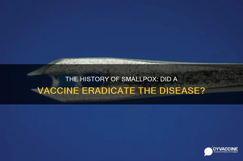 did small pox have a vaccine