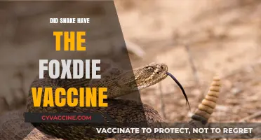 Did Snake Possess the FoxDie Vaccine? Unraveling Metal Gear's Mystery