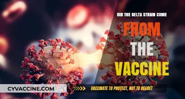 Vaccine and Delta Strain: What's the Link?