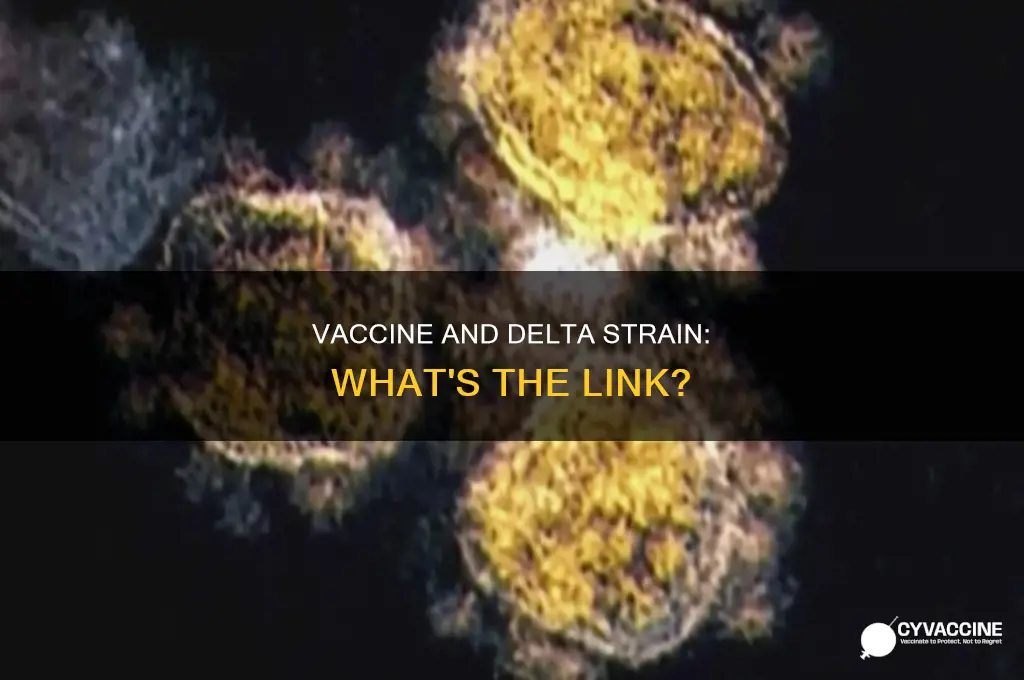 did the delta strain come from the vaccine