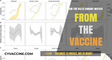 Vaccine Myth: Delta Variant Mutation Explained