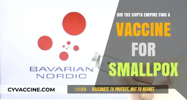 The Gupta Empire's Smallpox Vaccine Mystery