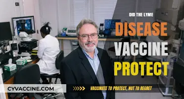 Did the Lyme Disease Vaccine Protect? Unraveling Its Effectiveness and Impact