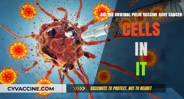 Cancer Cells in the Original Polio Vaccine?