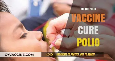 Polio Vaccine: The Truth Behind Its Role in Eradicating Polio