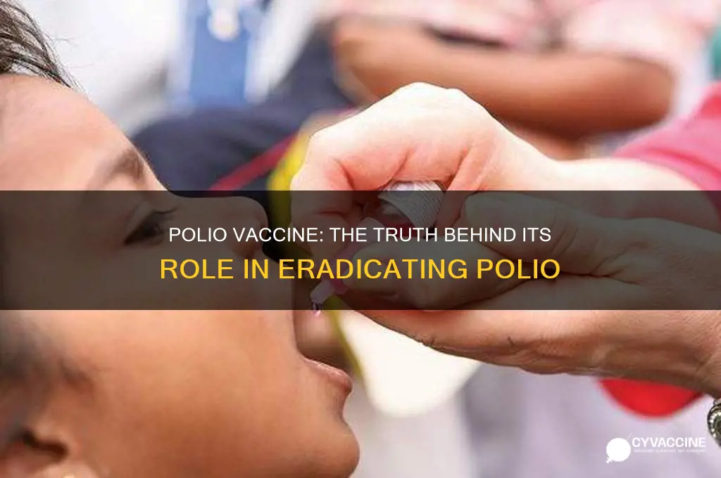 did the polio vaccine cure polio