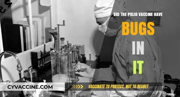 Polio Vaccine: Bug-Free or Not?