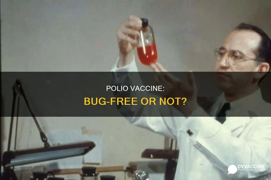 did the polio vaccine have bugs in it