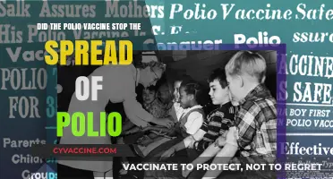 Polio Vaccine: Eradication or Just Control?