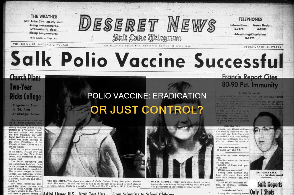 did the polio vaccine stop the spread of polio