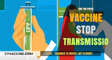 Did the Polio Vaccine Halt Transmission? Unraveling the Science and Impact