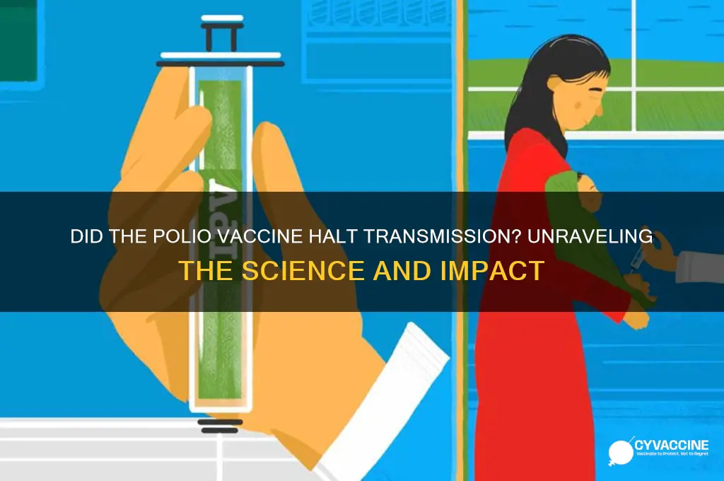 did the polio vaccine stop transmission