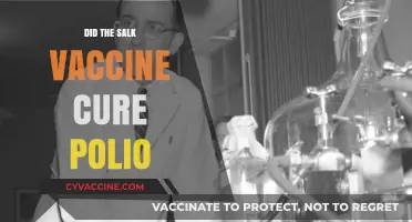 Did the Salk Vaccine Cure Polio? Unraveling the Medical Breakthrough