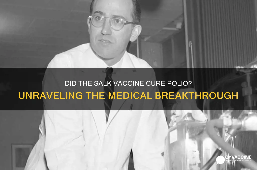 did the salk vaccine cure polio