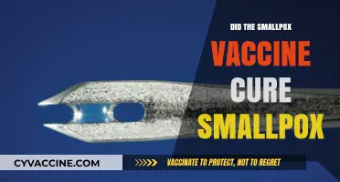 Did the Smallpox Vaccine Eradicate the Deadly Disease Forever?