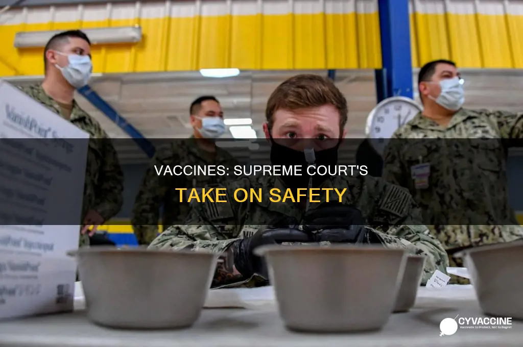 did the supreme court rule vaccines unavoidably unsafe