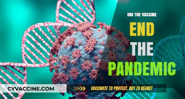 Vaccine Impact: Did COVID-19 Shots Truly End the Pandemic?