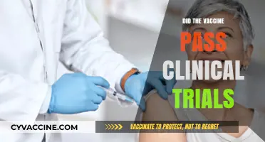 Vaccine Safety Confirmed: Clinical Trials, Results, and Public Trust Explained