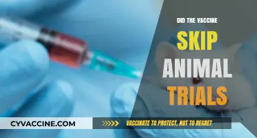 Vaccine Development: Did COVID-19 Vaccines Bypass Animal Testing?