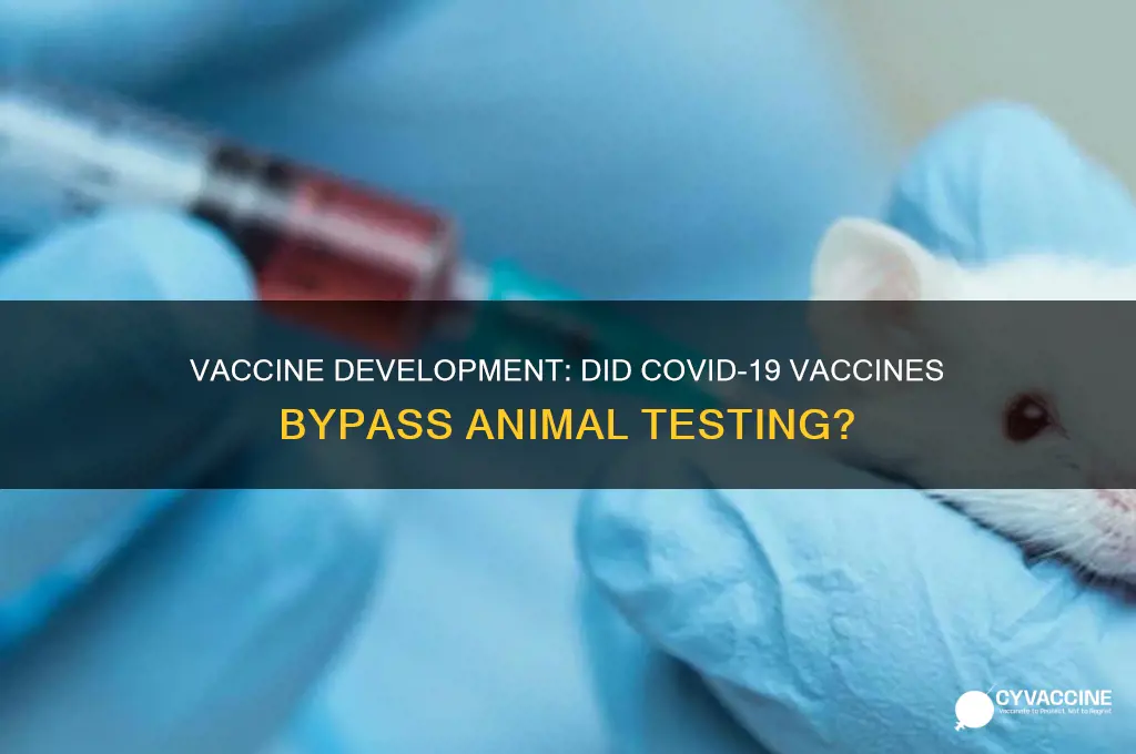 did the vaccine skip animal trials