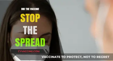 Did Vaccines Halt COVID-19 Spread? Analyzing the Evidence and Impact