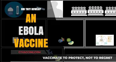 Ebola Vaccine Breakthrough: Development, Effectiveness, and Global Impact Explained