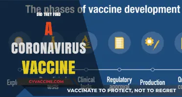 Latest Updates: Has a Coronavirus Vaccine Been Successfully Discovered?