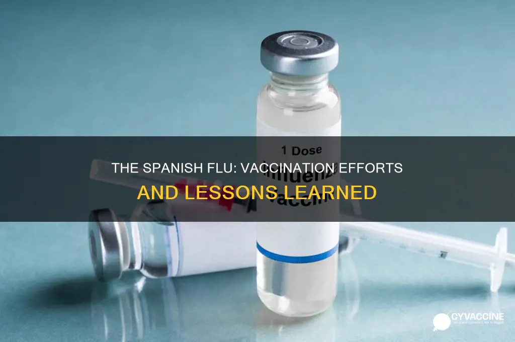 did they have a vaccine for spanish influenza