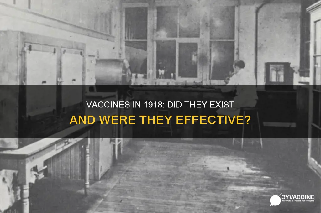 did they have vaccines for the 1918 pandemic