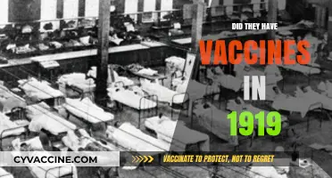 1919 Vaccines: Did They Exist During the Spanish Flu Pandemic?