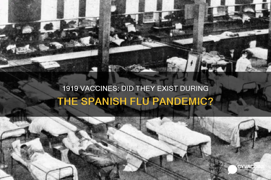 did they have vaccines in 1919