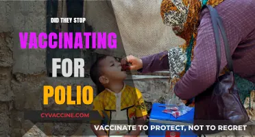 Polio Vaccination: Has the Fight Against the Disease Ended?