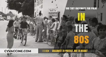 Polio Vaccination in the 80s: What Happened?