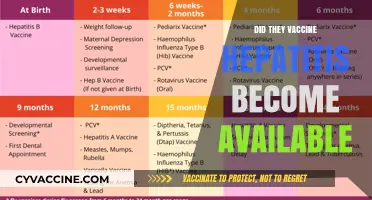 When Did the Hepatitis Vaccine Become Widely Available?
