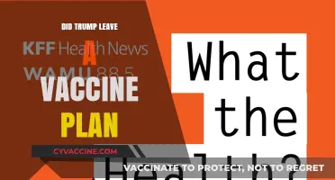 Trump's Legacy: Did He Leave a Functional Vaccine Plan?
