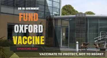 UK Government Funding: The Role in Oxford's Vaccine Development