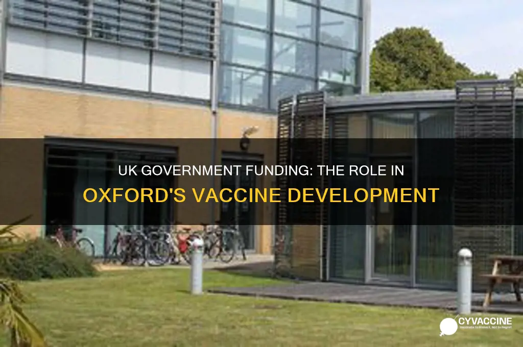 did uk government fund oxford vaccine