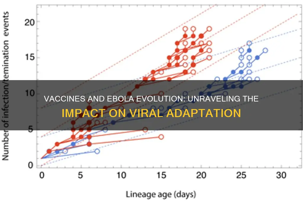 did vaccines help evolved ebola virus