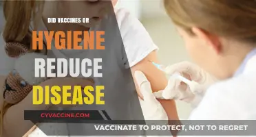 Vaccines vs. Hygiene: Which Played a Bigger Role in Disease Reduction?
