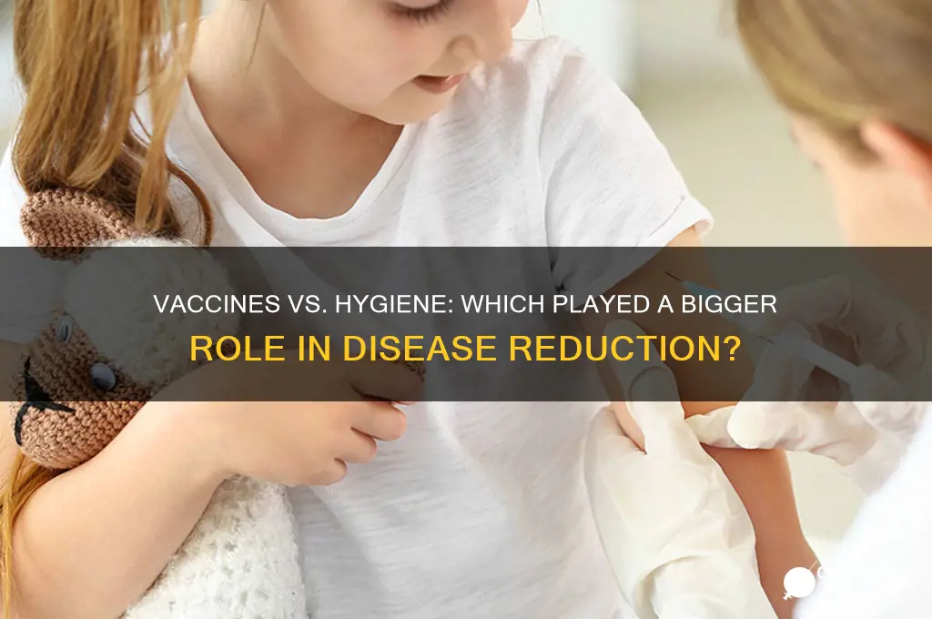 did vaccines or hygiene reduce disease
