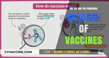 Vaccines: The Pandemic's End or Just a New Beginning?
